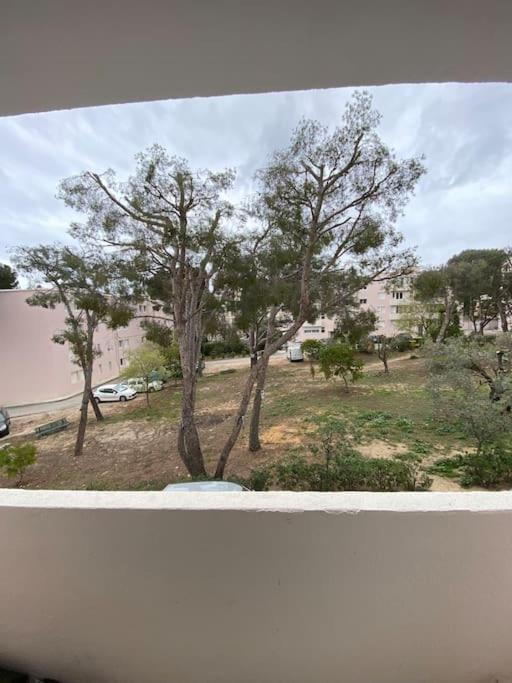 T3 La Ciotat Plage 외부 사진